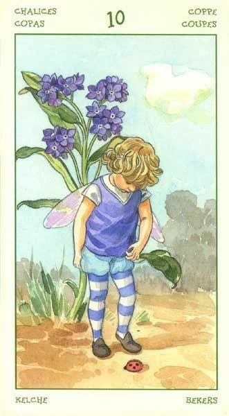 Ten of Chalices card from the Spirit of Flowers Tarot deck
