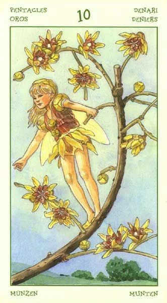 Ten of Pentacles card from the Spirit of Flowers Tarot deck
