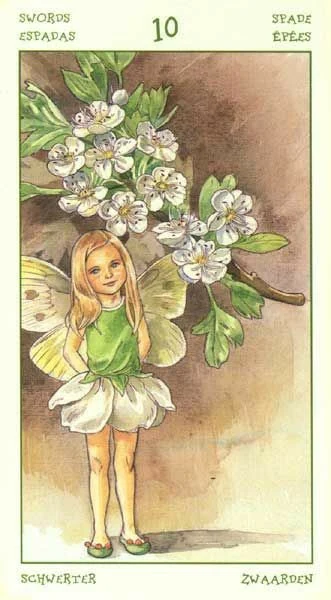 Ten of Swords card from the Spirit of Flowers Tarot deck