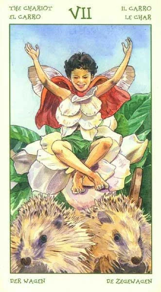 The Chariot card from the Spirit of Flowers Tarot deck