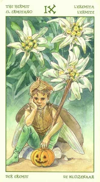 The Hermit card from the Spirit of Flowers Tarot deck
