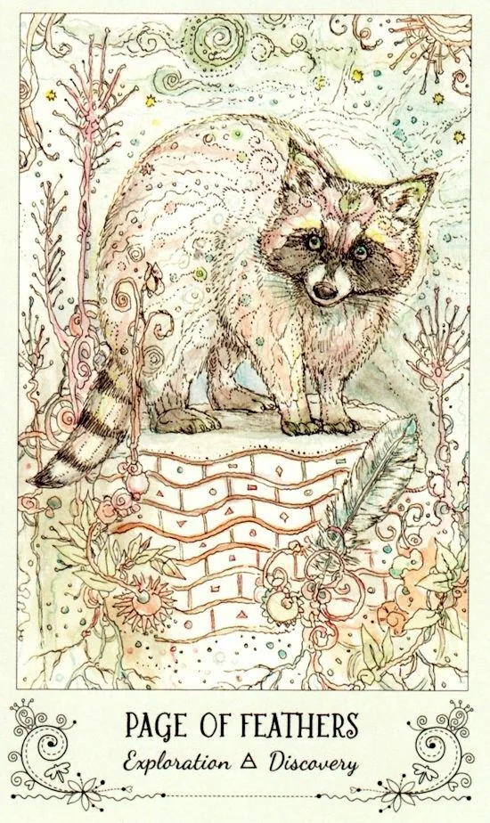 Page of Feathers card from the Spiritsong Tarot deck
