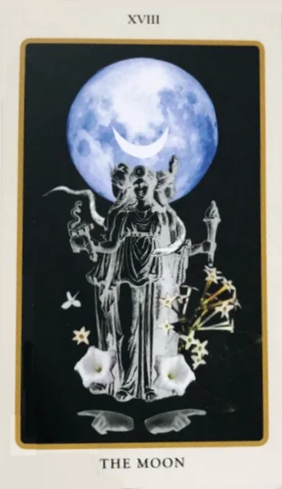 The Moon card from the Spolia Tarot deck