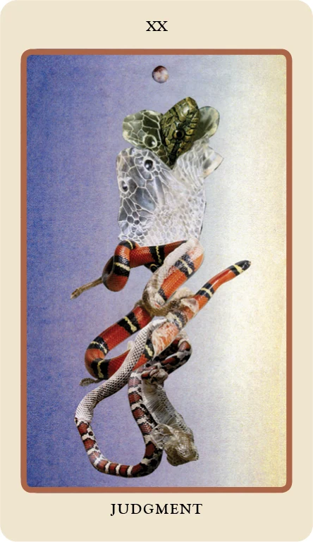 Judgment card from the Spolia Tarot deck