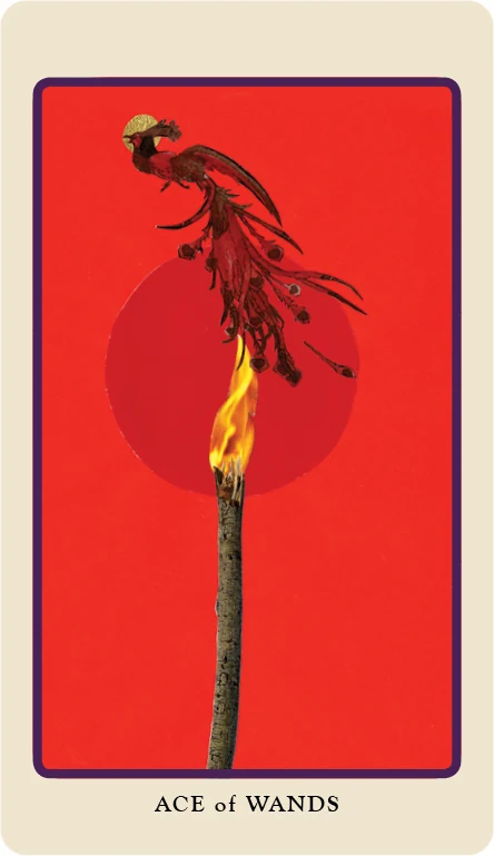 Ace of Wands card from the Spolia Tarot deck