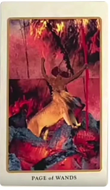 Page of Wands card from the Spolia Tarot deck