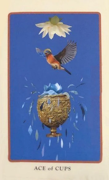 Ace of Cups card from the Spolia Tarot deck