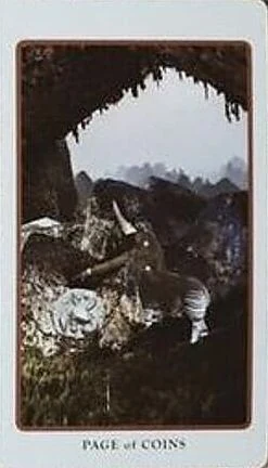 Page of Coins card from the Spolia Tarot deck