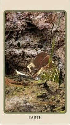 Earth card from the Spolia Tarot deck by Jen May and Jessa Crispin