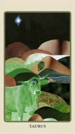 Taurus card from the Spolia Tarot deck by Jen May and Jessa Crispin