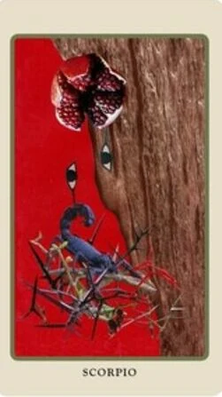 Scorpio card from the Spolia Tarot deck by Jen May and Jessa Crispin