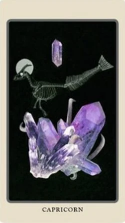 Capricorn card from the Spolia Tarot deck