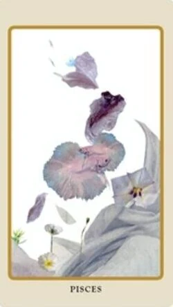 Pisces card from the Spolia Tarot deck by Jen May and Jessa Crispin