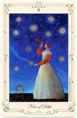 Nine of Disks card from Stella's Simple Tarot