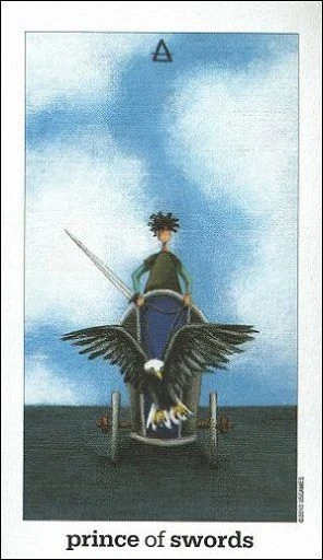 Prince of Swords card from the Sun and Moon Tarot deck by Vanessa Decort
