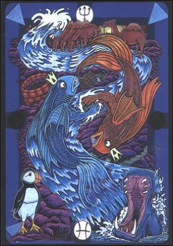 Water · court glyph — source 87 (Knight equivalent) card front from Tarot D: The Didactic Tarot; descriptive source-symbol identifier, not a guidebook title