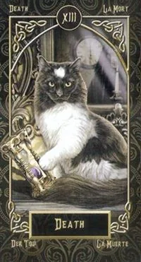 Death card from the Tarot Familiars deck