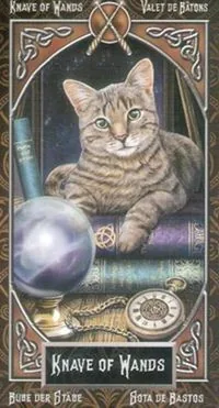 Knave of Wands card from the Tarot Familiars deck
