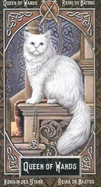 Queen of Wands card from the Tarot Familiars deck