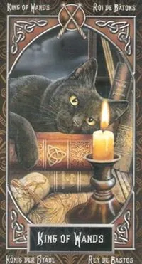 King of Wands card from the Tarot Familiars deck