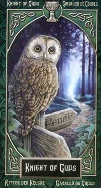 Knight of Cups card from the Tarot Familiars deck
