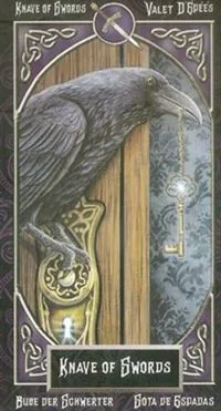 Knave of Swords card from the Tarot Familiars deck