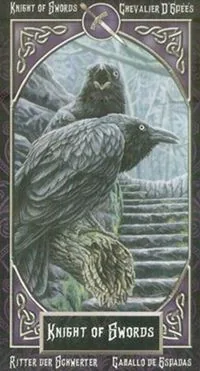 Knight of Swords card from the Tarot Familiars deck