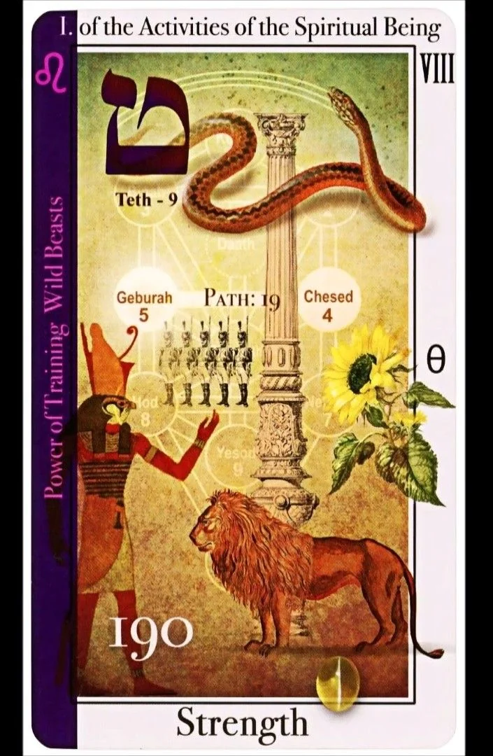 Strength card from the Tarot of Magical Correspondences deck