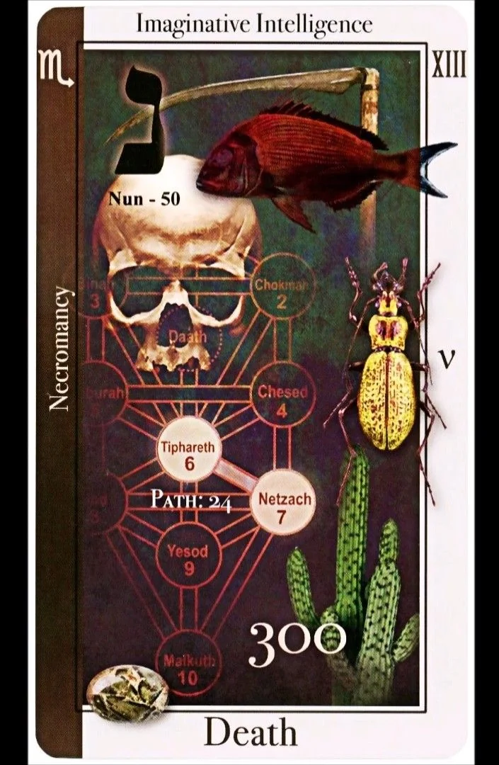 Death card from the Tarot of Magical Correspondences deck