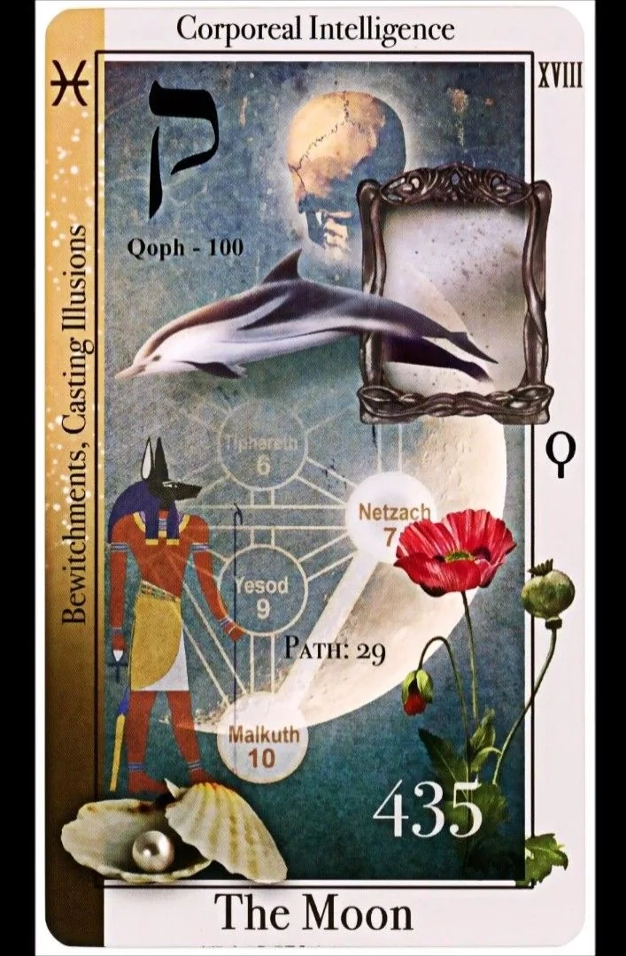 The Moon card from the Tarot of Magical Correspondences deck