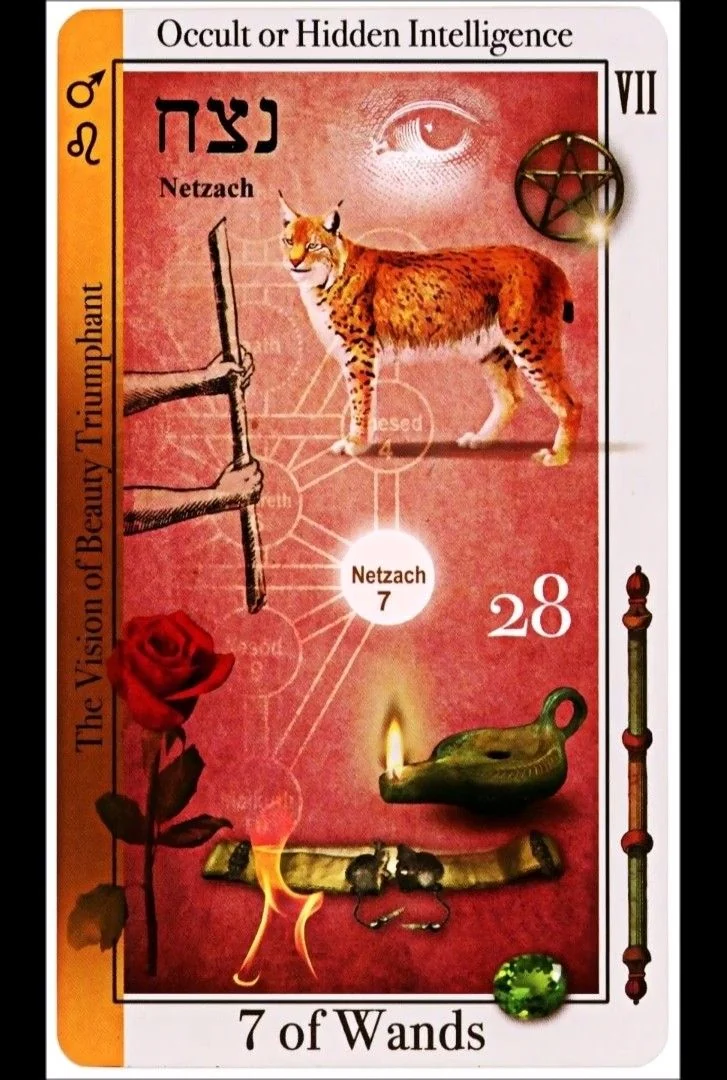 7 of Wands card from the Tarot of Magical Correspondences deck