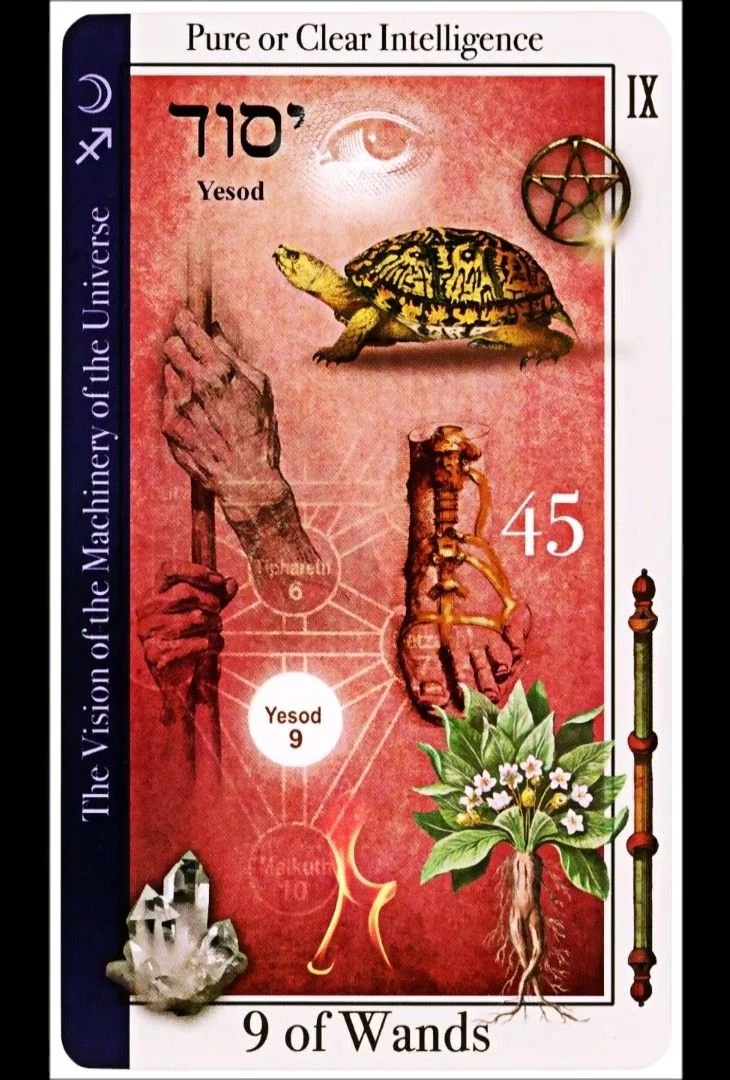 9 of Wands card from the Tarot of Magical Correspondences deck