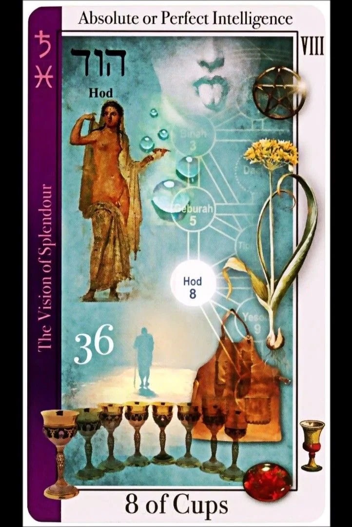 8 of Cups card from the Tarot of Magical Correspondences deck