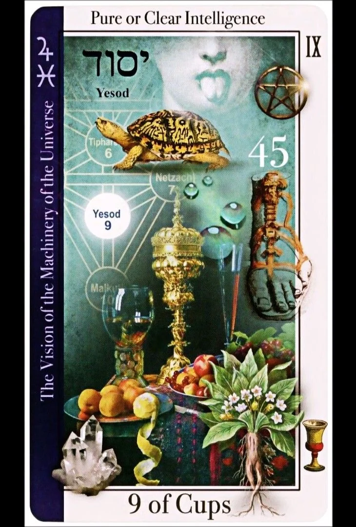 9 of Cups card from the Tarot of Magical Correspondences deck