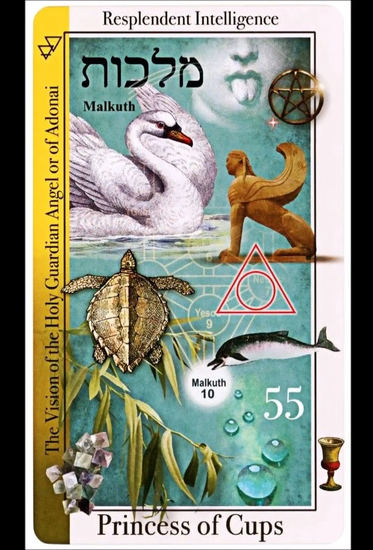 Princess of Cups card from the Tarot of Magical Correspondences deck