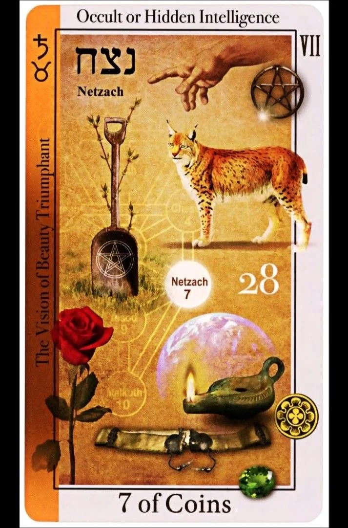 7 of Coins card from the Tarot of Magical Correspondences deck