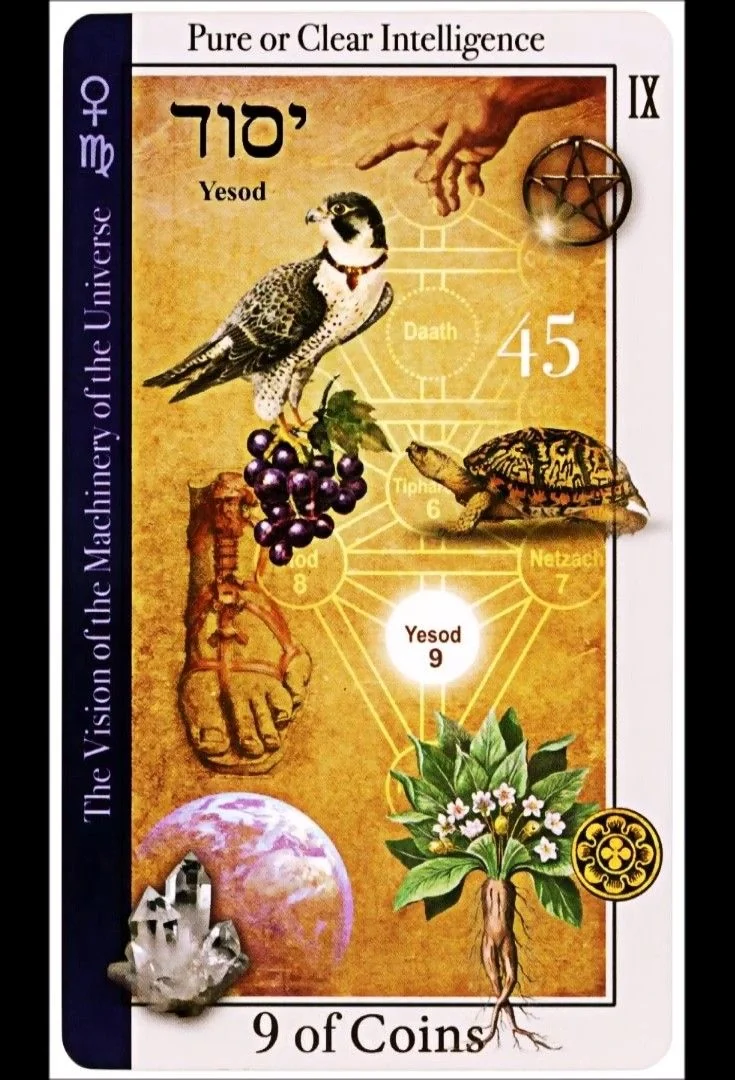 9 of Coins card from the Tarot of Magical Correspondences deck