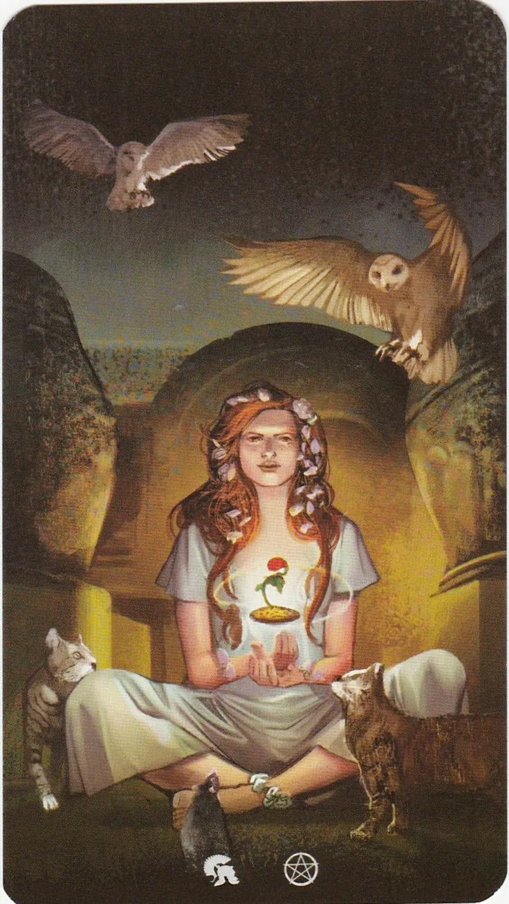 Page of Cups card from the Tarot of the Haunted House deck