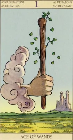 Ace of Wands card from the Tarot of the New Vision deck