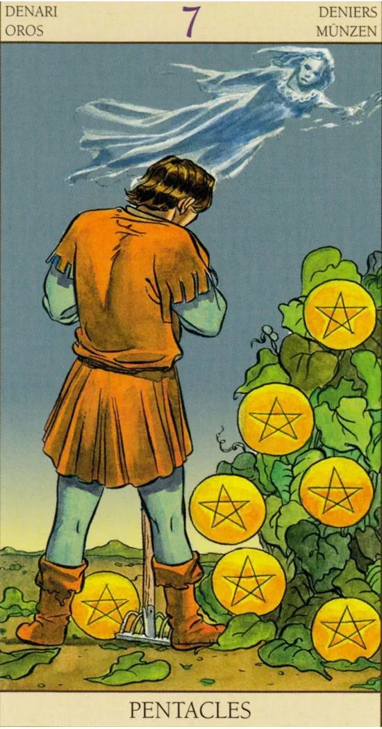 7 of Pentacles - Tarot of the New Vision - Tarot Deck by Pietro Alligo