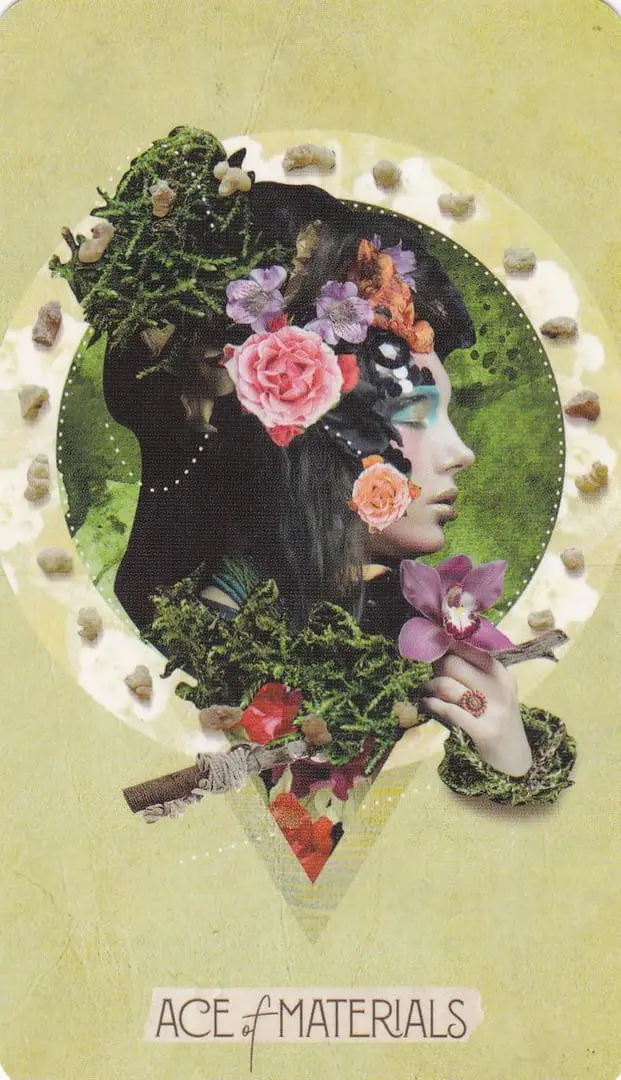 The Muse Tarot Review 15 Ace of Pentacles card from The Muse Tarot deck