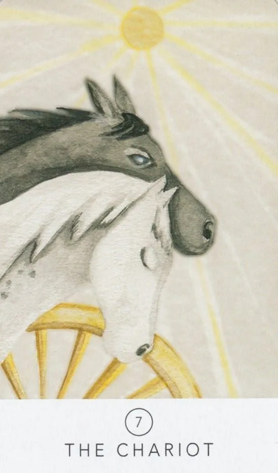 The Chariot card from the White Sage Tarot deck