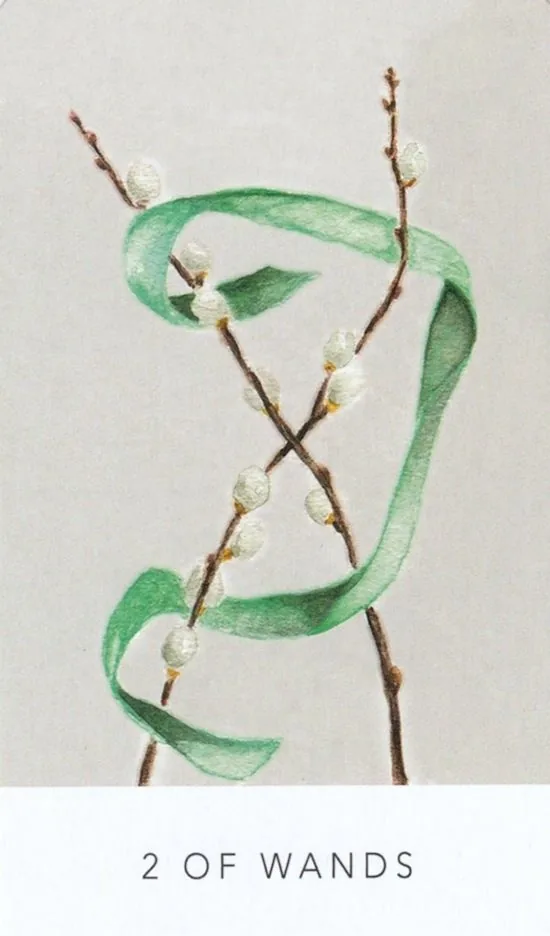 2 of Wands card from the White Sage Tarot deck