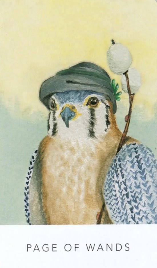 Page of Wands card from the White Sage Tarot deck