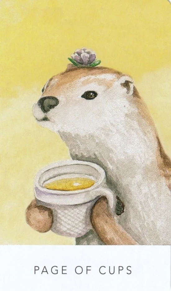 Page of Cups card from the White Sage Tarot deck