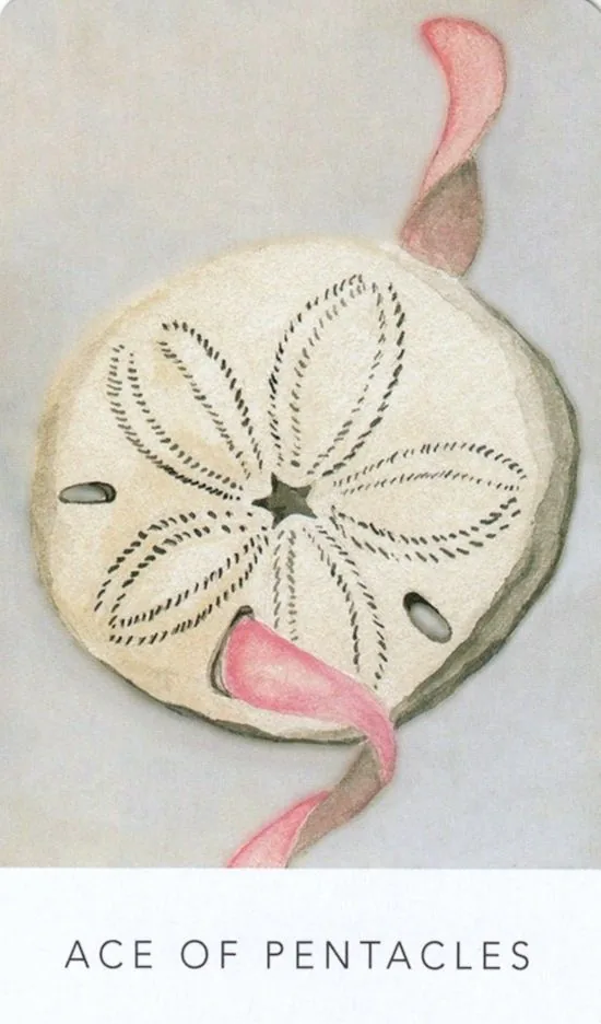Ace of Pentacles card from the White Sage Tarot deck
