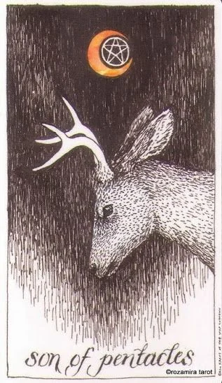 Son of Pentacles card from the The Wild Unknown Tarot deck