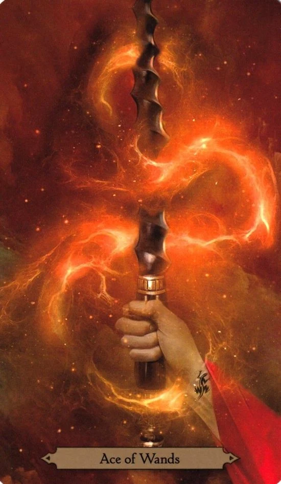 Ace of Wands card from the Wizards Tarot deck by Barbara Moore