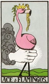Ace of Flamingos card from the Wonderland Tarot deck