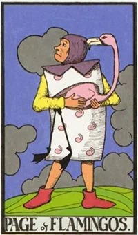 Page of Flamingos card from the Wonderland Tarot deck
